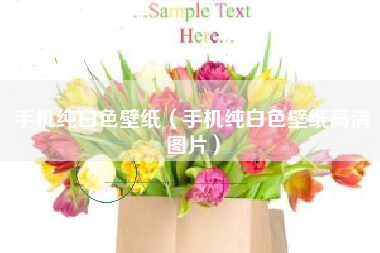 手机纯白色壁纸(手机纯白色壁纸高清图片)