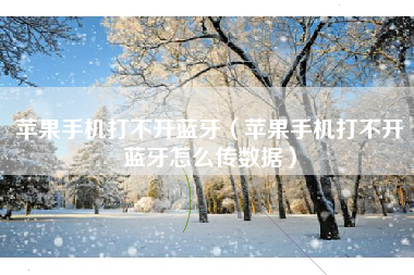 苹果手机打不开蓝牙(苹果手机打不开蓝牙怎么传数据)