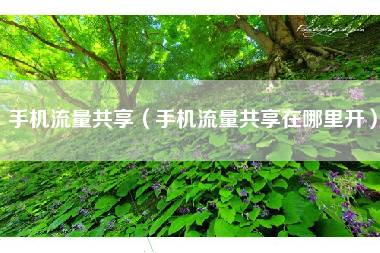 手机流量共享(手机流量共享在哪里开)