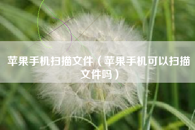 苹果手机扫描文件(苹果手机可以扫描文件吗)