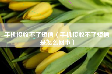 手机接收不了短信(手机接收不了短信是怎么回事)