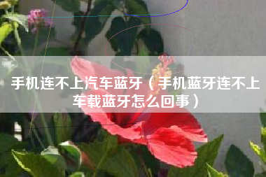 手机连不上汽车蓝牙(手机蓝牙连不上车载蓝牙怎么回事)