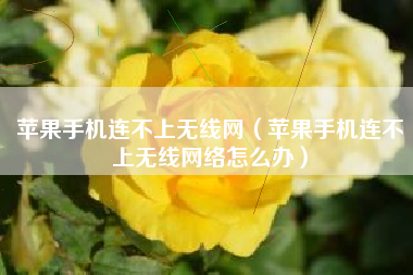 苹果手机连不上无线网(苹果手机连不上无线网络怎么办)