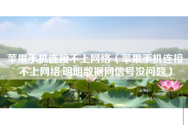 苹果手机连接不上网络(苹果手机连接不上网络,明明数据网信号没问题)