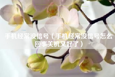 手机经常没信号(手机经常没信号怎么回事关机又好了)