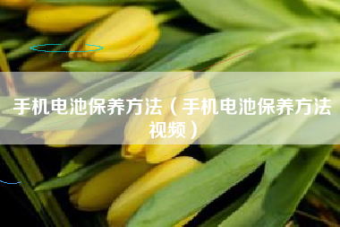 手机电池保养方法(手机电池保养方法视频)