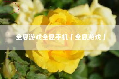 全息游戏全息手机「全息游戏」