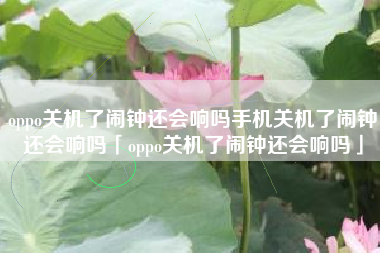 oppo关机了闹钟还会响吗手机关机了闹钟还会响吗「oppo关机了闹钟还会响吗」