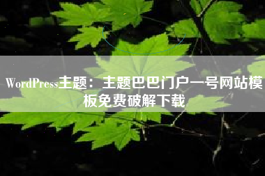 WordPress主题:主题巴巴门户一号网站模板免费破解下载