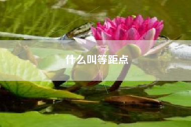 什么叫等距点